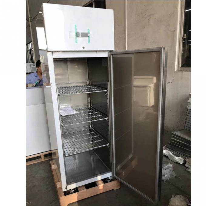 Congelador de refrigerador de aço inoxidável comercial do CE 250W 1