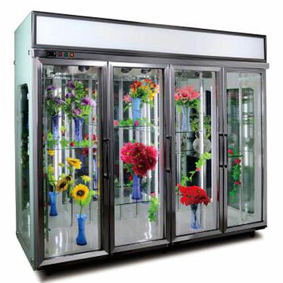 qualidade  3 Glass Door 600W Custom Commercial Refrigerator Fábrica