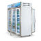 Fã que refrigera o refrigerador ereto lateral duplo da exposição