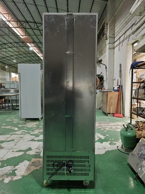 Frigorífico comercial vertical Display de bebidas Frigorífico com porta de vidro