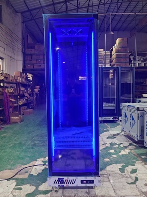 Frigorífico comercial vertical Display de bebidas Frigorífico com porta de vidro