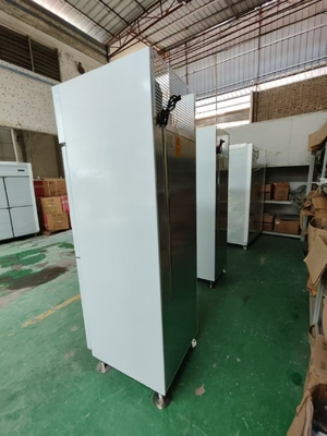 Frigorífico comercial vertical Frigorífico de pernas de bala Marinha Frigorífico de cozinha personalizado Congelador com 120V / 60Hz