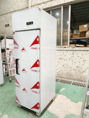 Frigorífico comercial vertical Frigorífico de aço inoxidável para restaurante