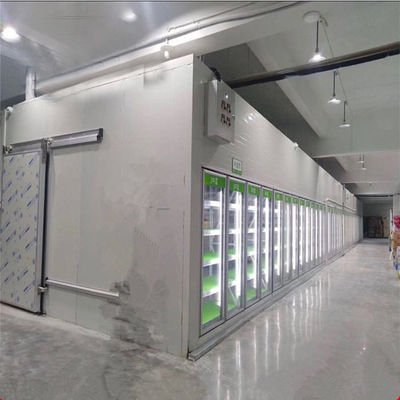 caminhada da porta R404a de 700mm no congelador mais fresco para a exposição da bebida